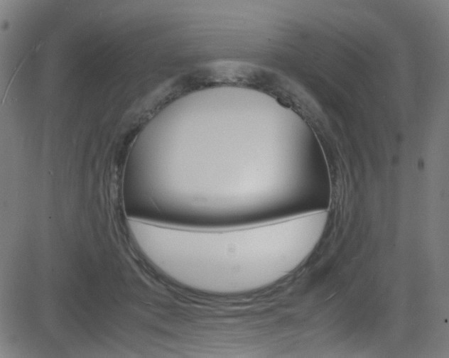 X0000083000413200702011214