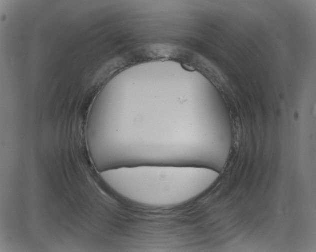 X0000083000414200702011214
