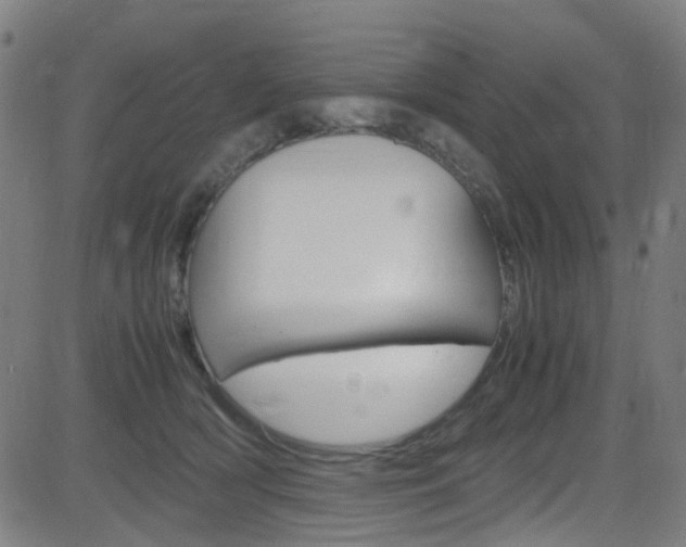 X0000083000418200702011214