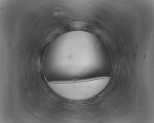 X0000083000420200702011214