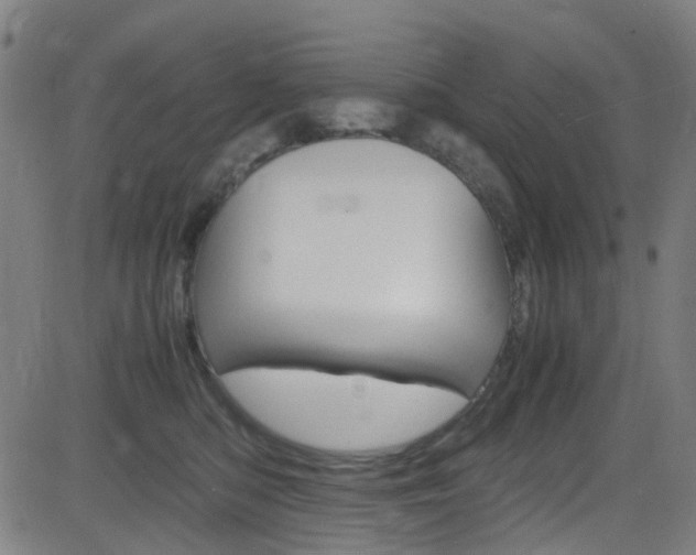 X0000083000422200702011214