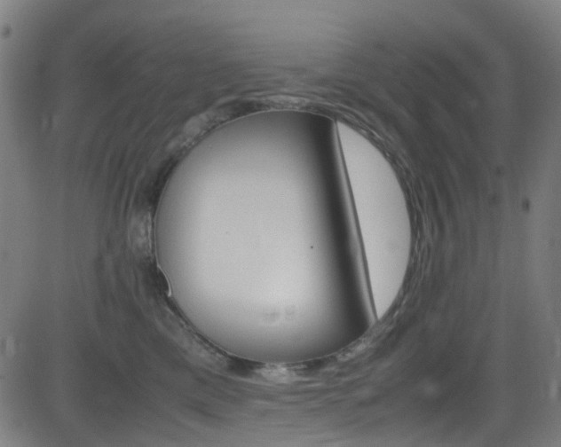 X0000083000425200702011214