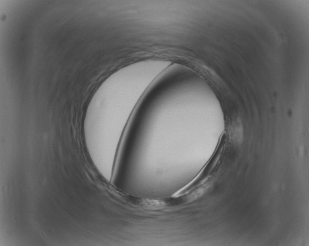 X0000083000429200702011214