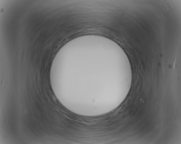 X0000083000431200702011214
