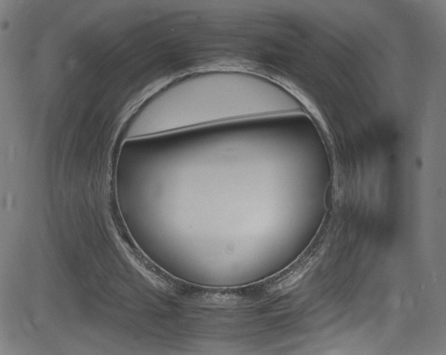 X0000083000437200702011213