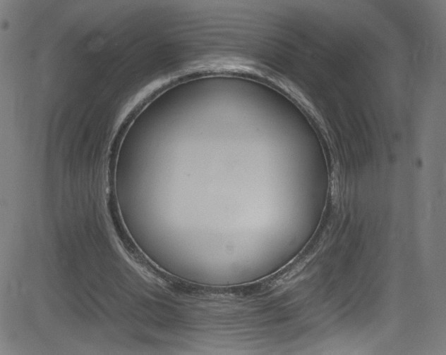 X0000083000438200702011213