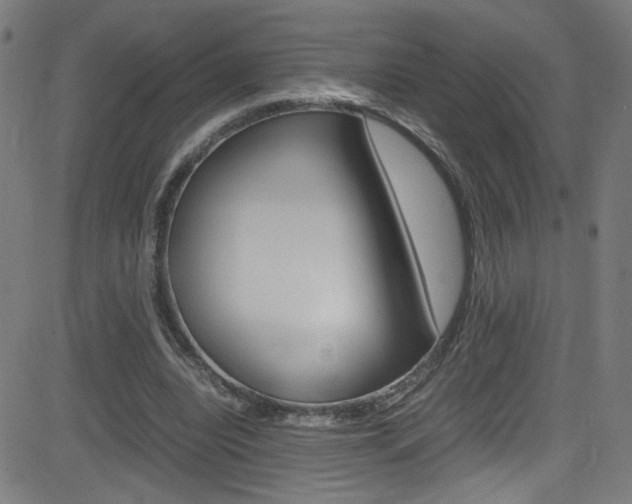 X0000083000440200702011213