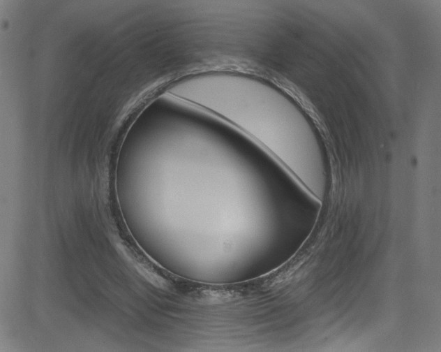 X0000083000442200702011213
