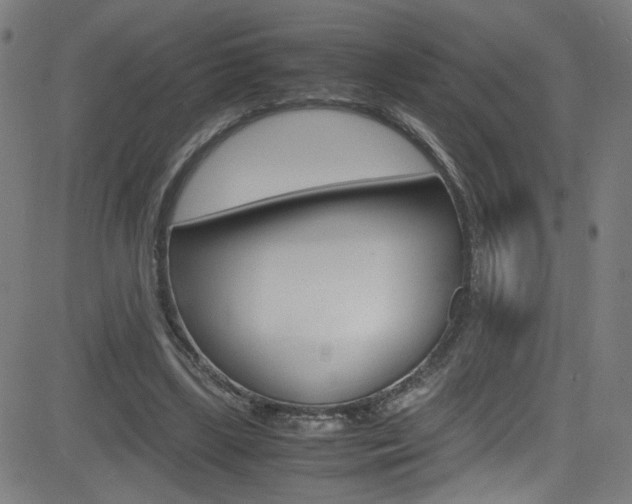 X0000083000443200702011213