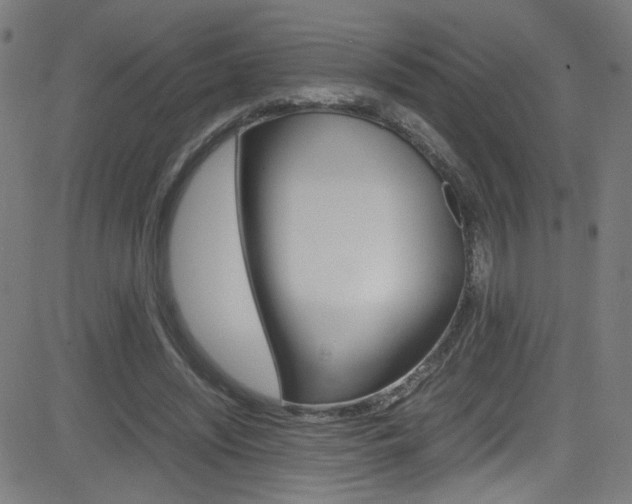 X0000083000444200702011213