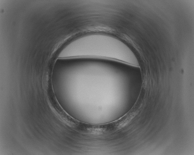 X0000083000448200702011213