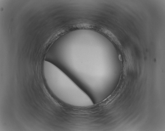 X0000083000449200702011213