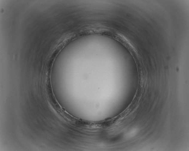 X0000083000451200702011213