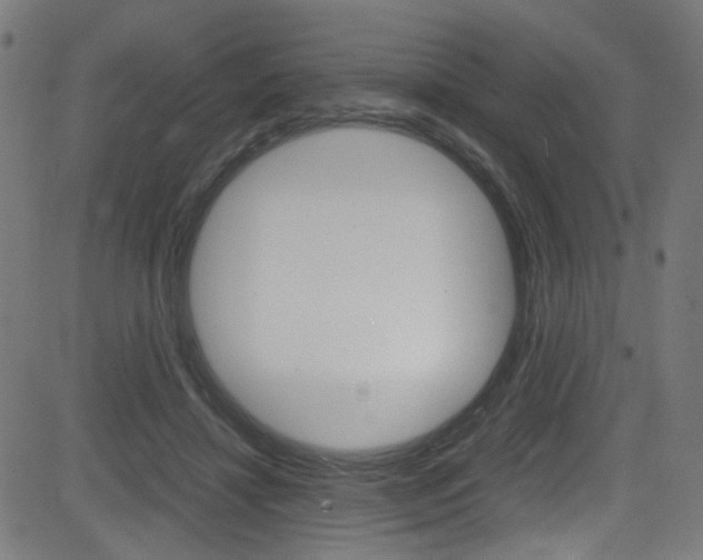 X0000083000452200702011213