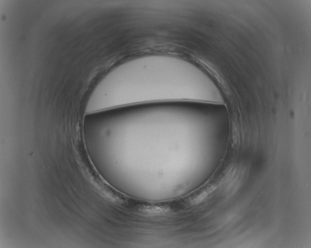 X0000083000453200702011213
