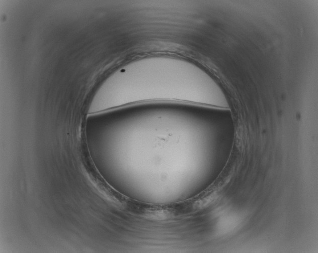 X0000083000454200702011213