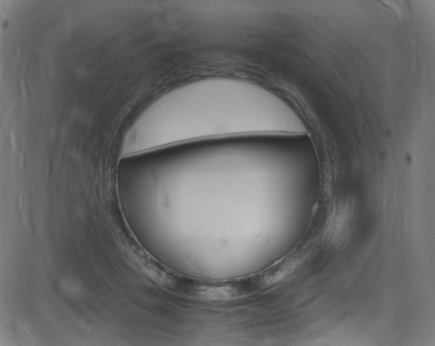 X0000083000457200702011213