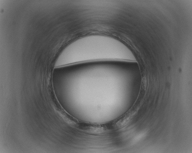 X0000083000458200702011213