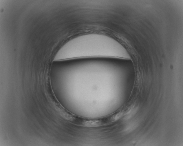 X0000083000461200702011214