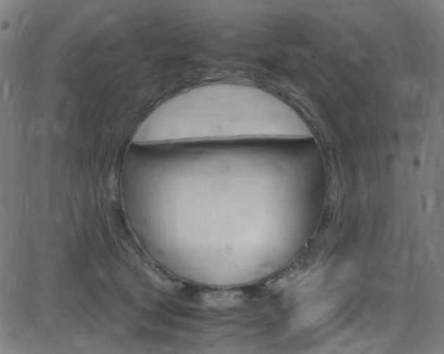 X0000083000465200702011214
