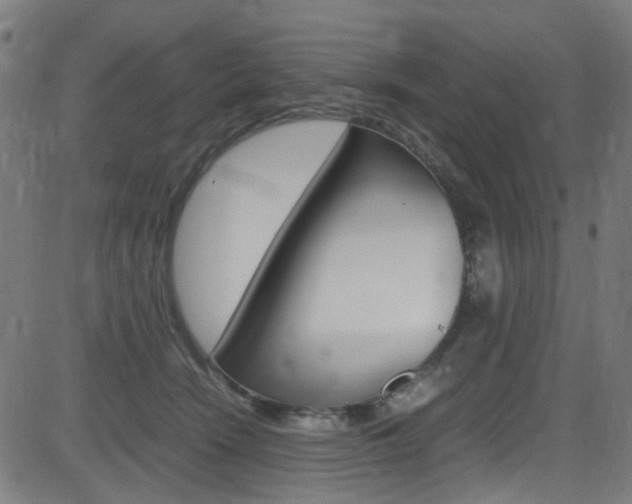 X0000083000466200702011214