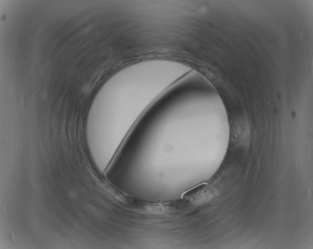 X0000083000470200702011214