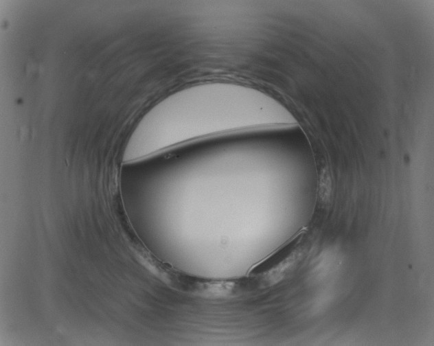 X0000083000474200702011214