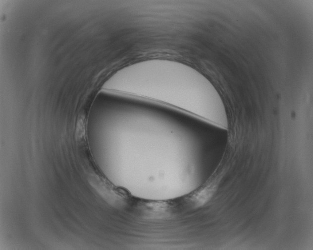 X0000083000478200702011214
