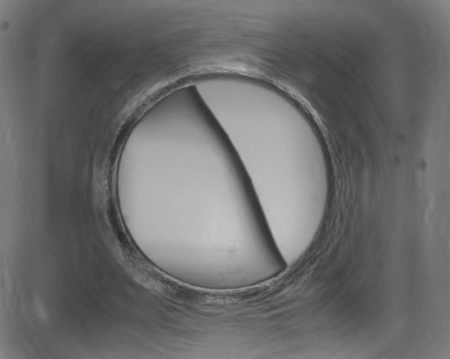 X0000083000487200702011213