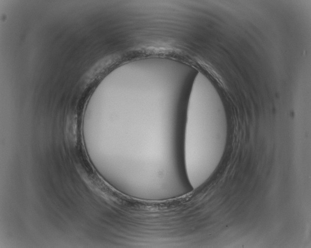 X0000083000494200702011213