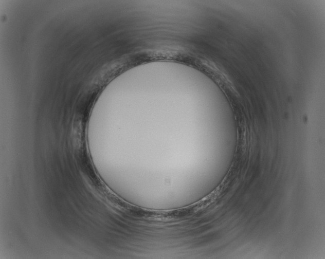 X0000083000498200702011213