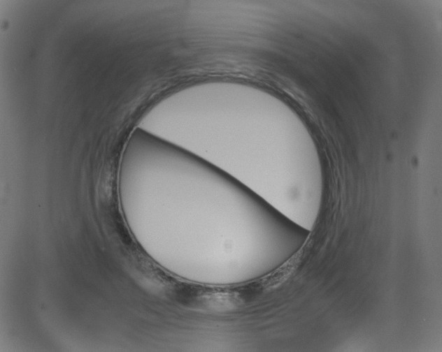 X0000083000499200702011213