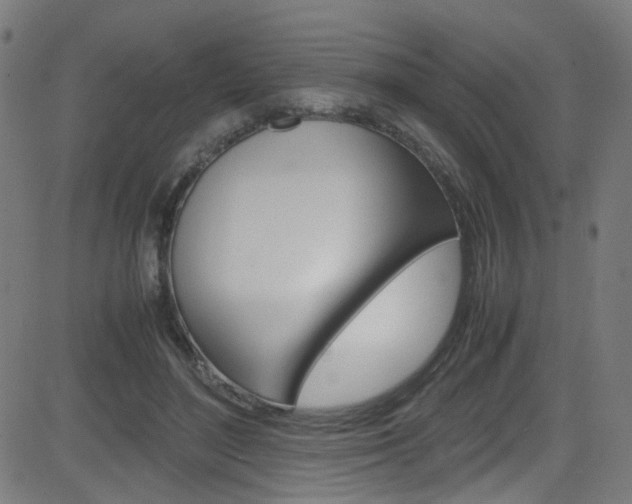 X0000083000500200702011213