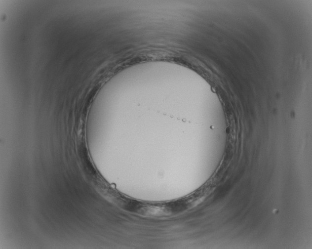 X0000083000507200702011213
