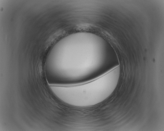 X0000083000508200702011213
