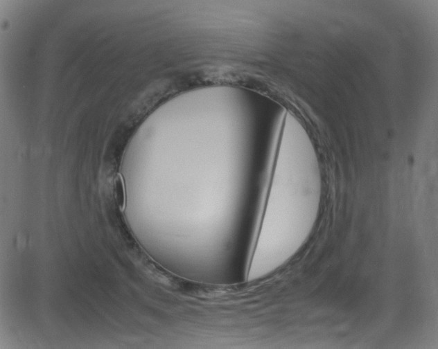 X0000083000513200702011213