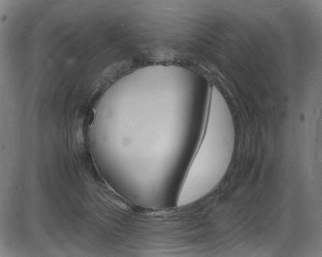 X0000083000516200702011212
