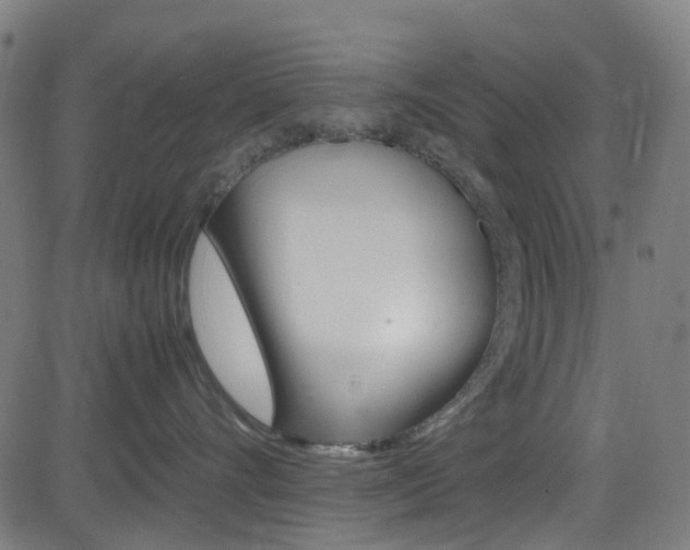 X0000083000528200702011212
