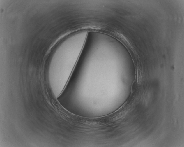 X0000083000531200702011212
