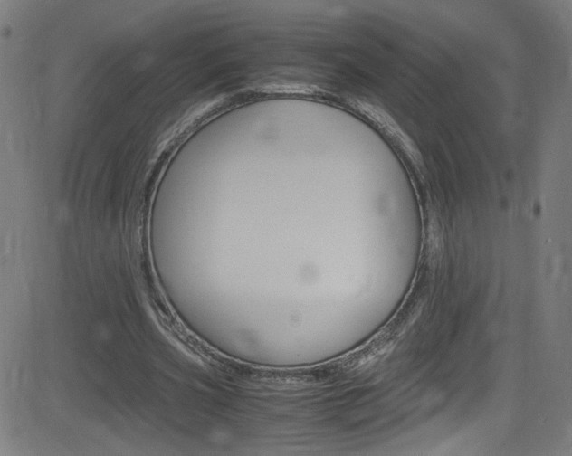 X0000083000533200702011212