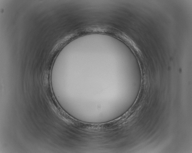 X0000083000537200702011212