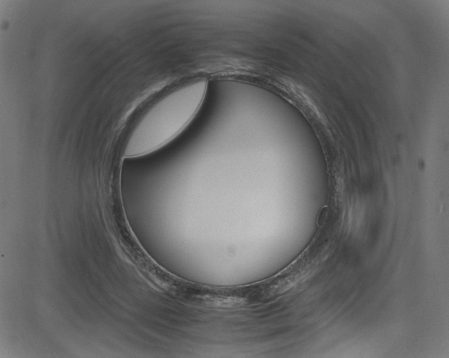 X0000083000539200702011212