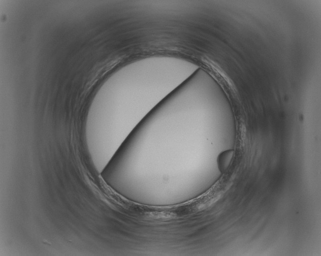 X0000083000541200702011212