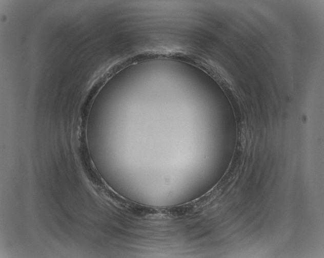 X0000083000544200702011212