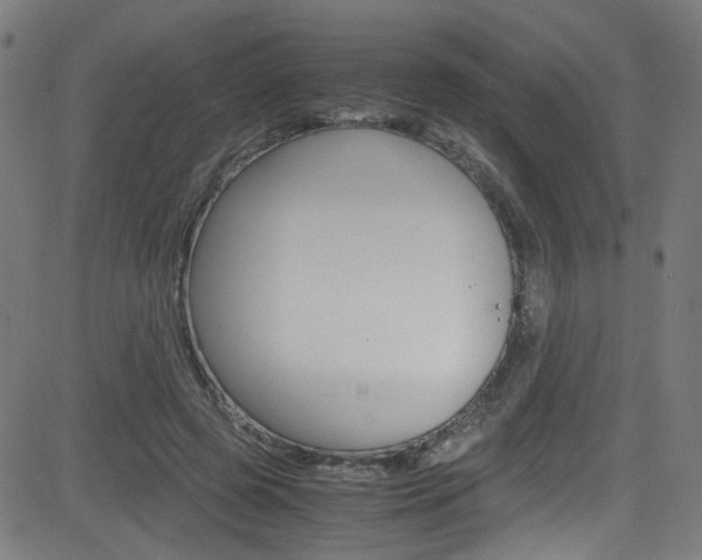 X0000083000545200702011212