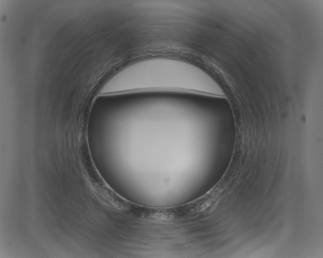 X0000083000546200702011212