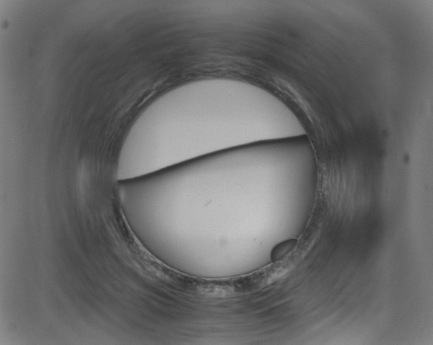 X0000083000549200702011212
