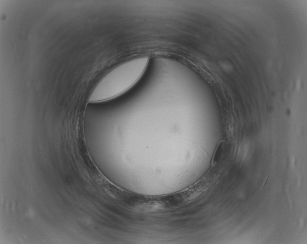 X0000083000551200702011212