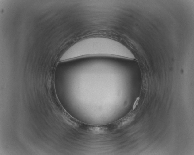 X0000083000558200702011212