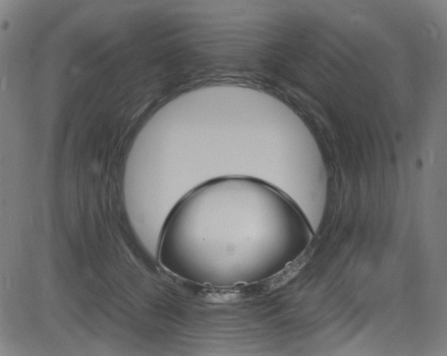 X0000083000560200702011212